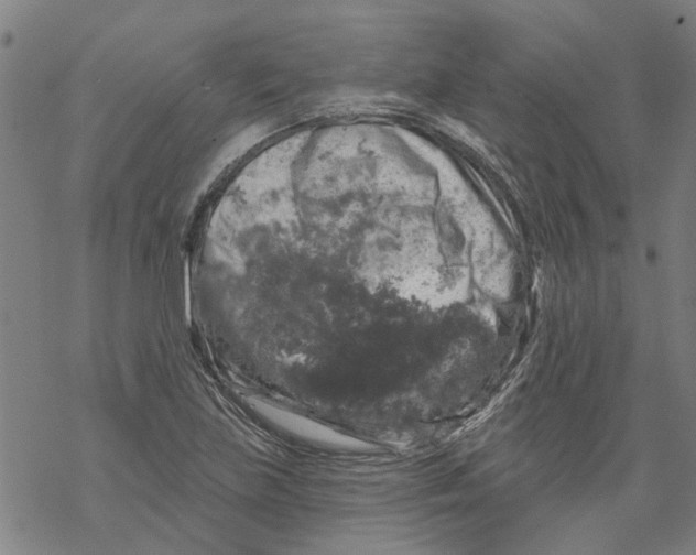 X0000068891219200605261837