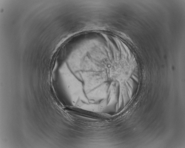 X0000068891220200605261837