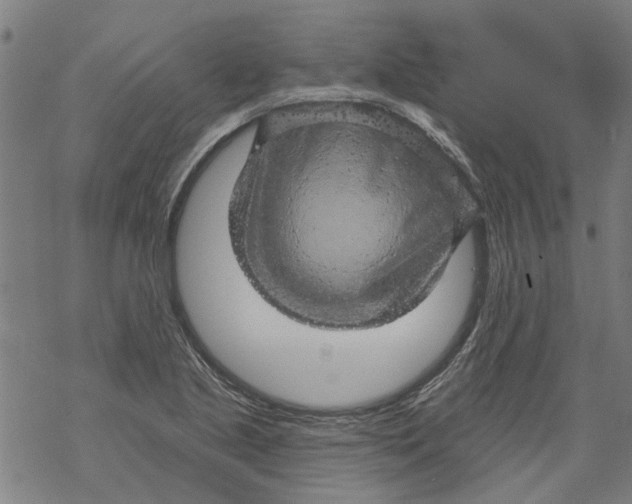 X0000068891221200605261837