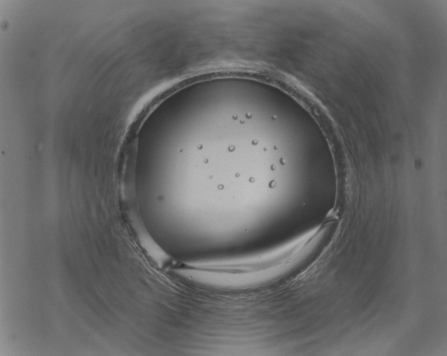 X0000068891222200605261837