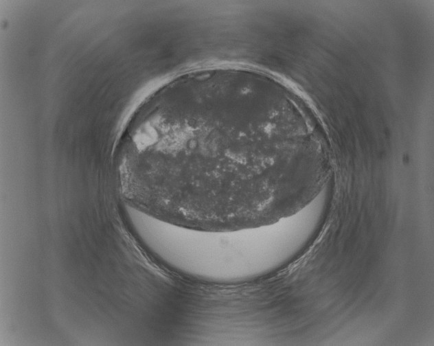 X0000068891223200605261837