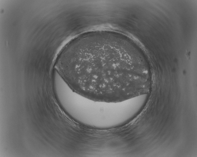 X0000068891224200605261837