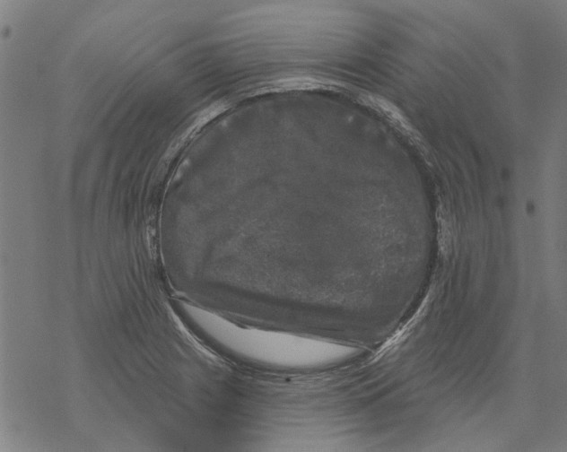 X0000068891225200605261837