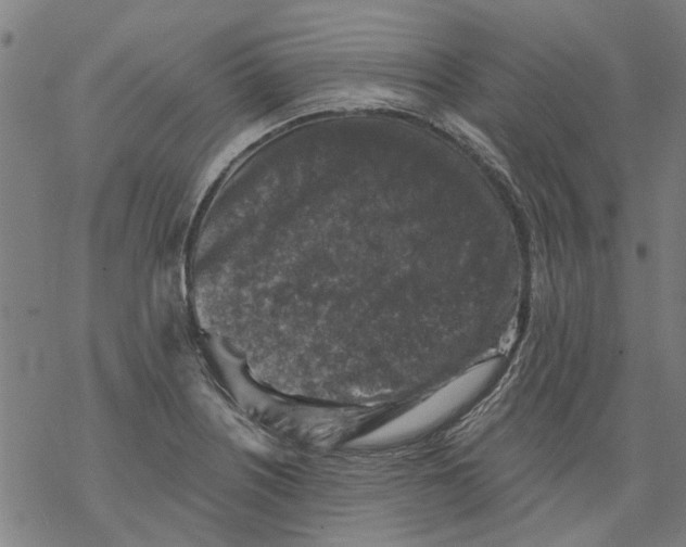 X0000068891226200605261837