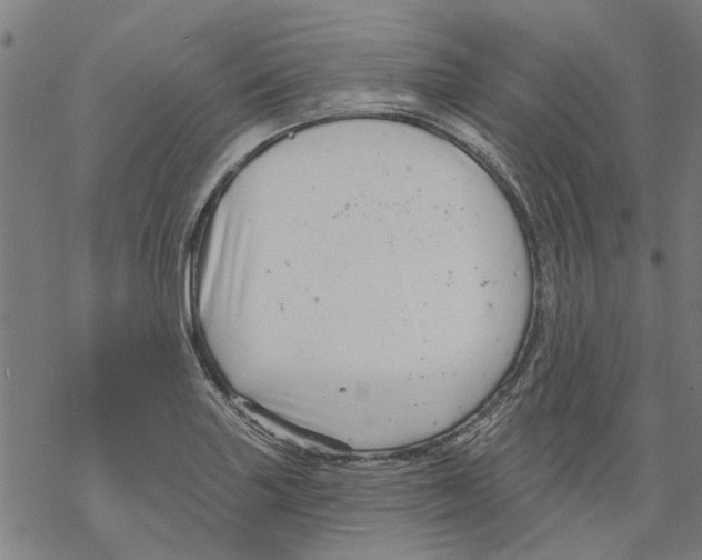 X0000068891227200605261837