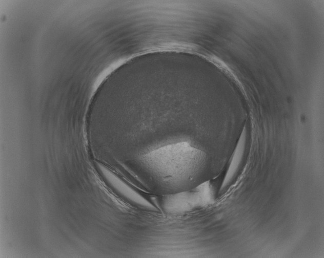 X0000068891230200605261837