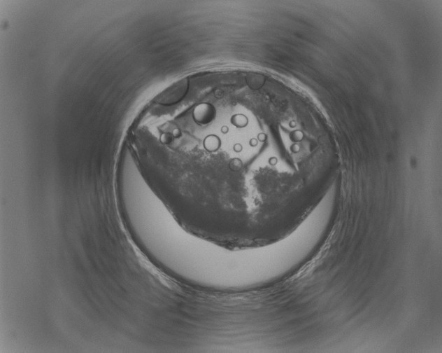 X0000068891231200605261837