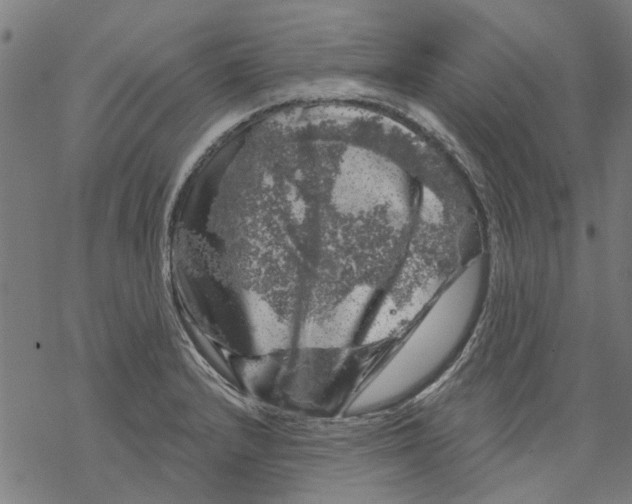 X0000068891232200605261837