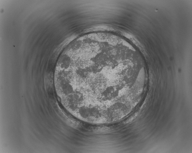 X0000068891233200605261837