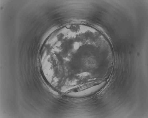 X0000068891235200605261837