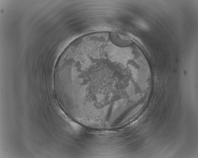 X0000068891236200605261838