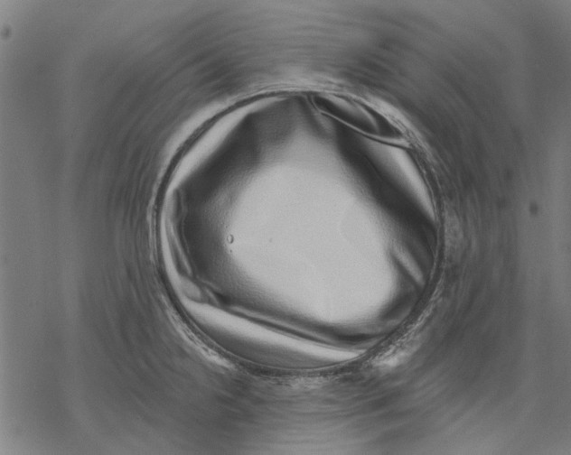 X0000068891238200605261838