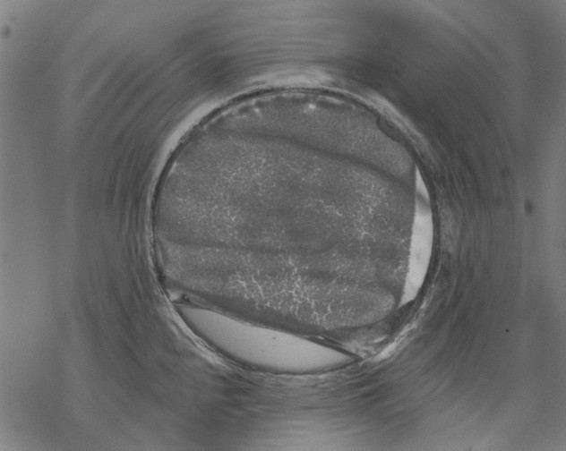 X0000068891240200605261838