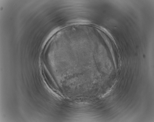 X0000068891243200605261838