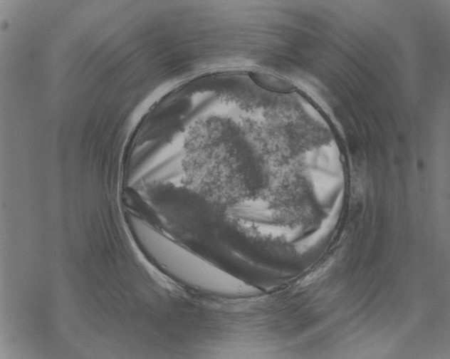 X0000068891245200605261838