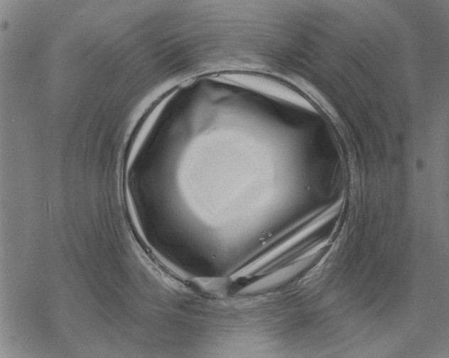 X0000068891246200605261838