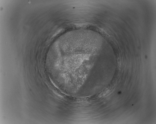 X0000068891249200605261837