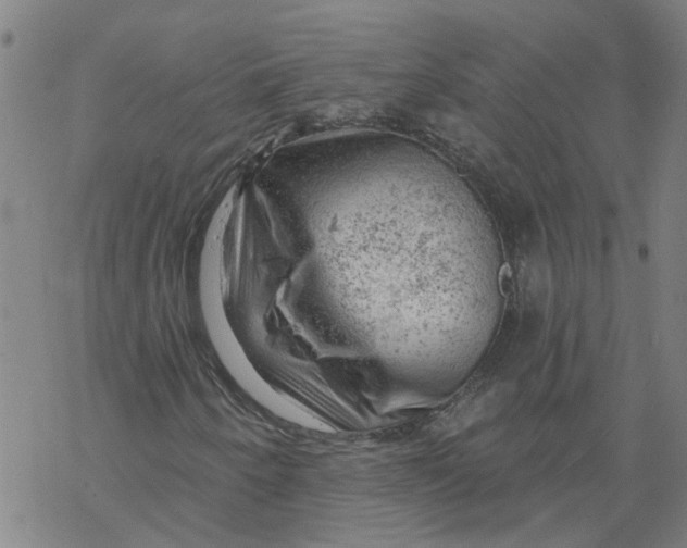 X0000068891250200605261837