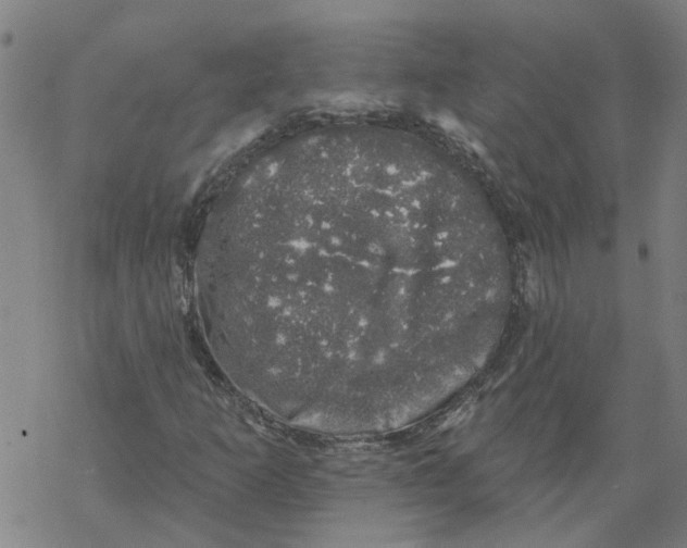 X0000068891253200605261837