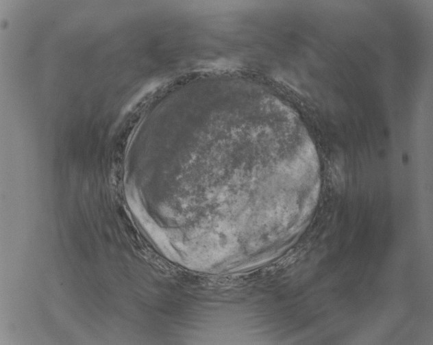 X0000068891254200605261837