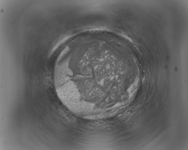 X0000068891255200605261837