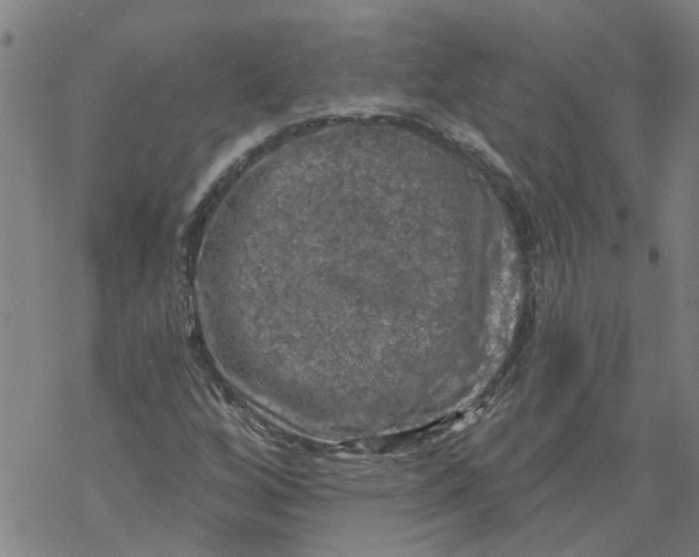 X0000068891256200605261837