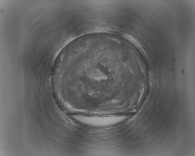 X0000068891260200605261837