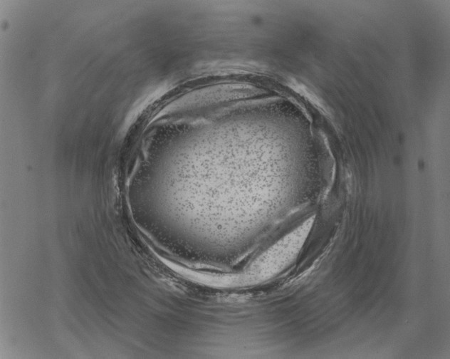 X0000068891261200605261837