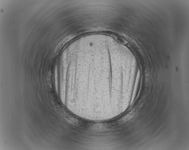 X0000068891265200605261837