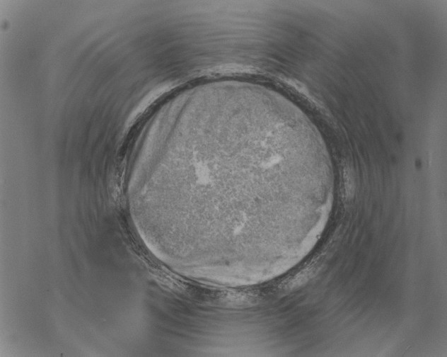 X0000068891266200605261837