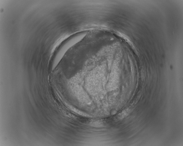 X0000068891267200605261837