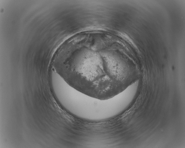 X0000068891268200605261837