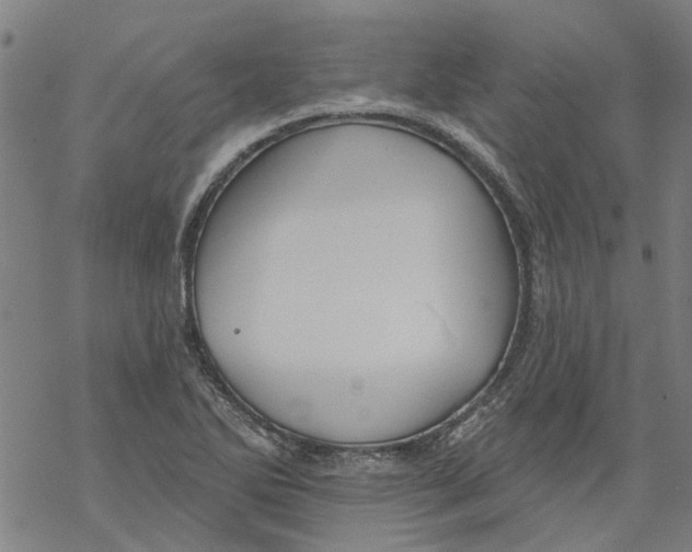 X0000068891270200605261837