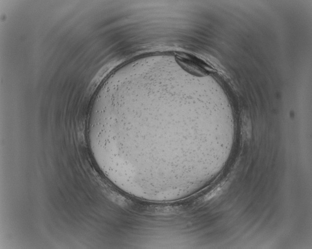 X0000068891273200605261837