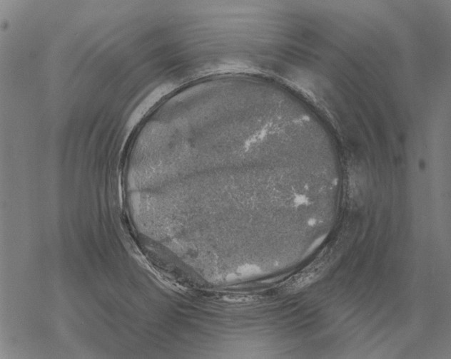 X0000068891274200605261837