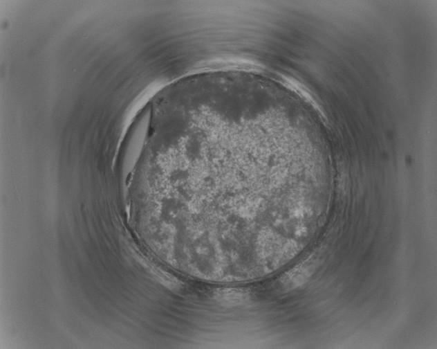 X0000068891275200605261837