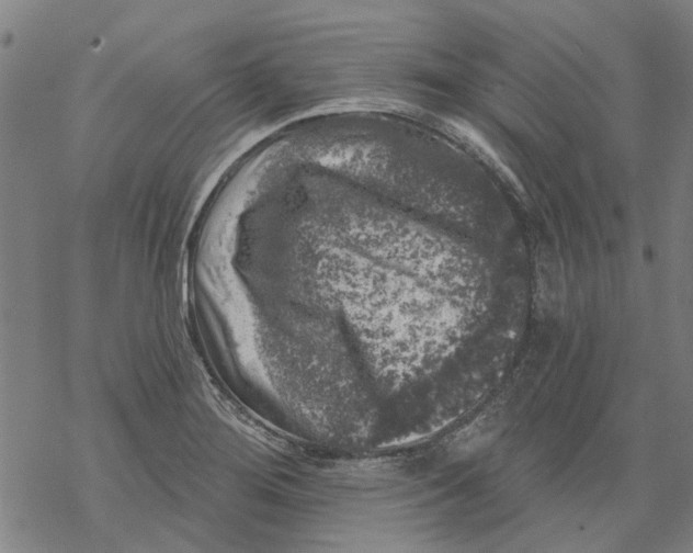 X0000068891276200605261836