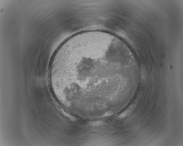 X0000068891278200605261836