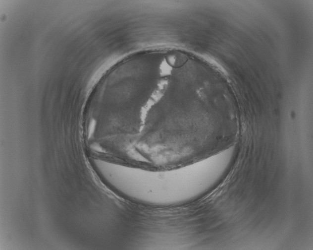 X0000068891279200605261836