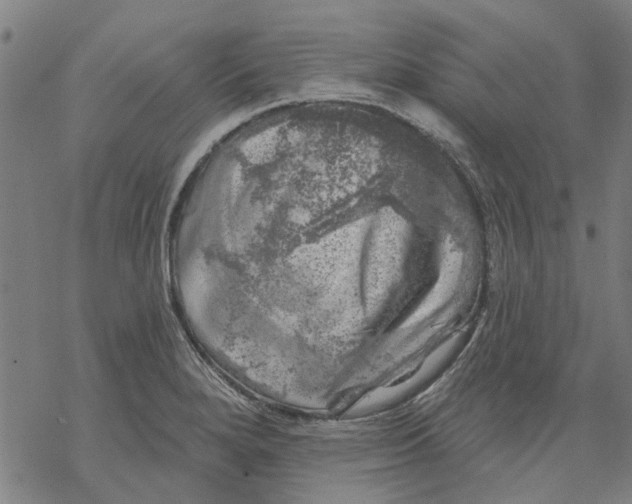 X0000068891280200605261836