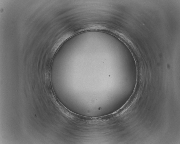 X0000068891281200605261836