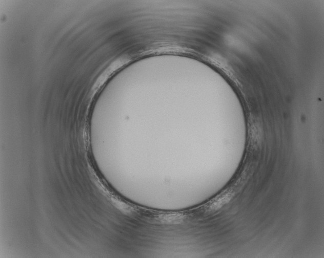 X0000068891282200605261836