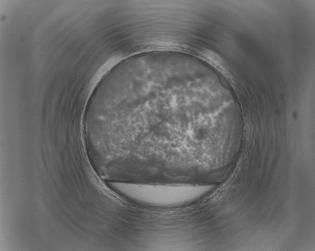 X0000068891283200605261836