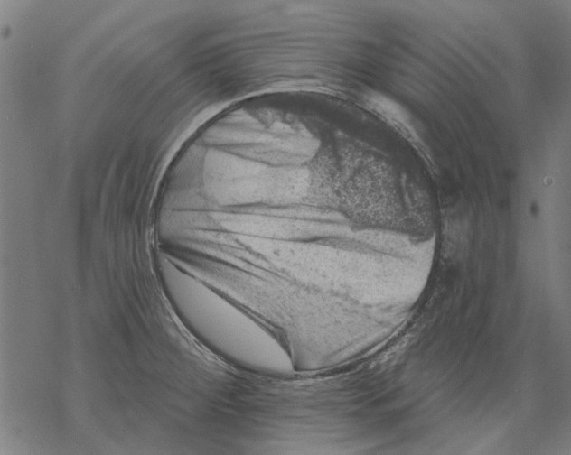 X0000068891284200605261836