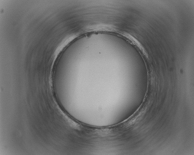 X0000068891285200605261836