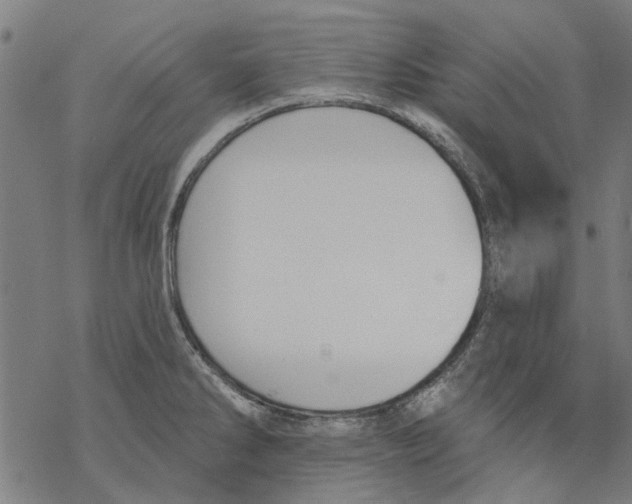 X0000068891286200605261836