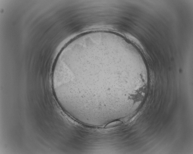 X0000068891288200605261836