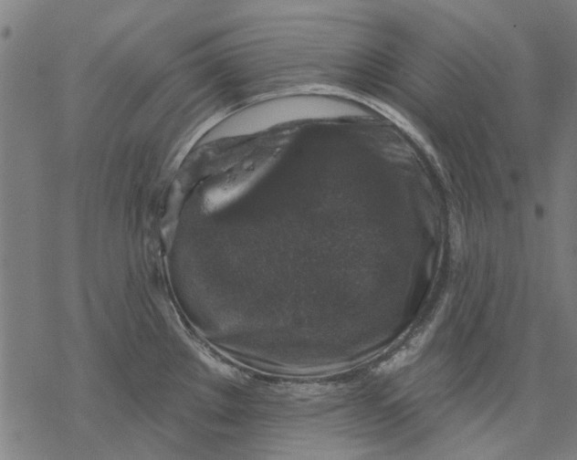 X0000068891289200605261836