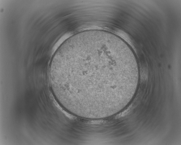 X0000068891290200605261836