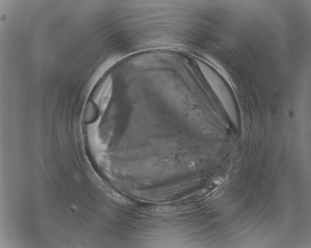 X0000068891291200605261836